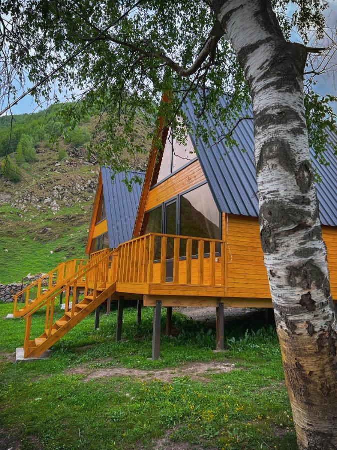 Pine Chalet Kazbegi Kültér fotó