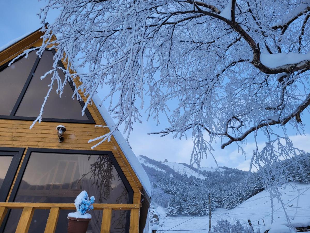 Pine Chalet Kazbegi Kültér fotó