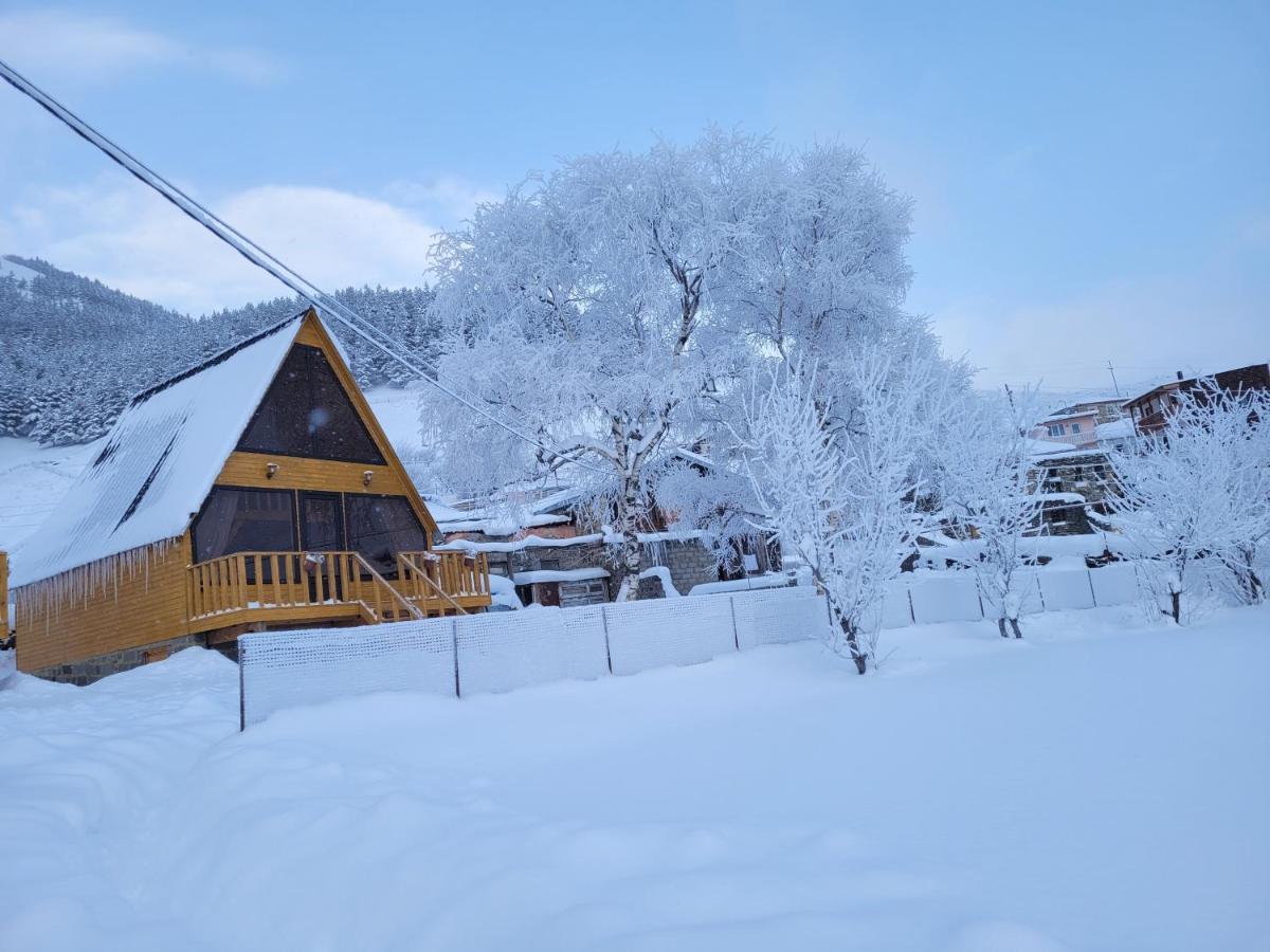 Pine Chalet Kazbegi Kültér fotó