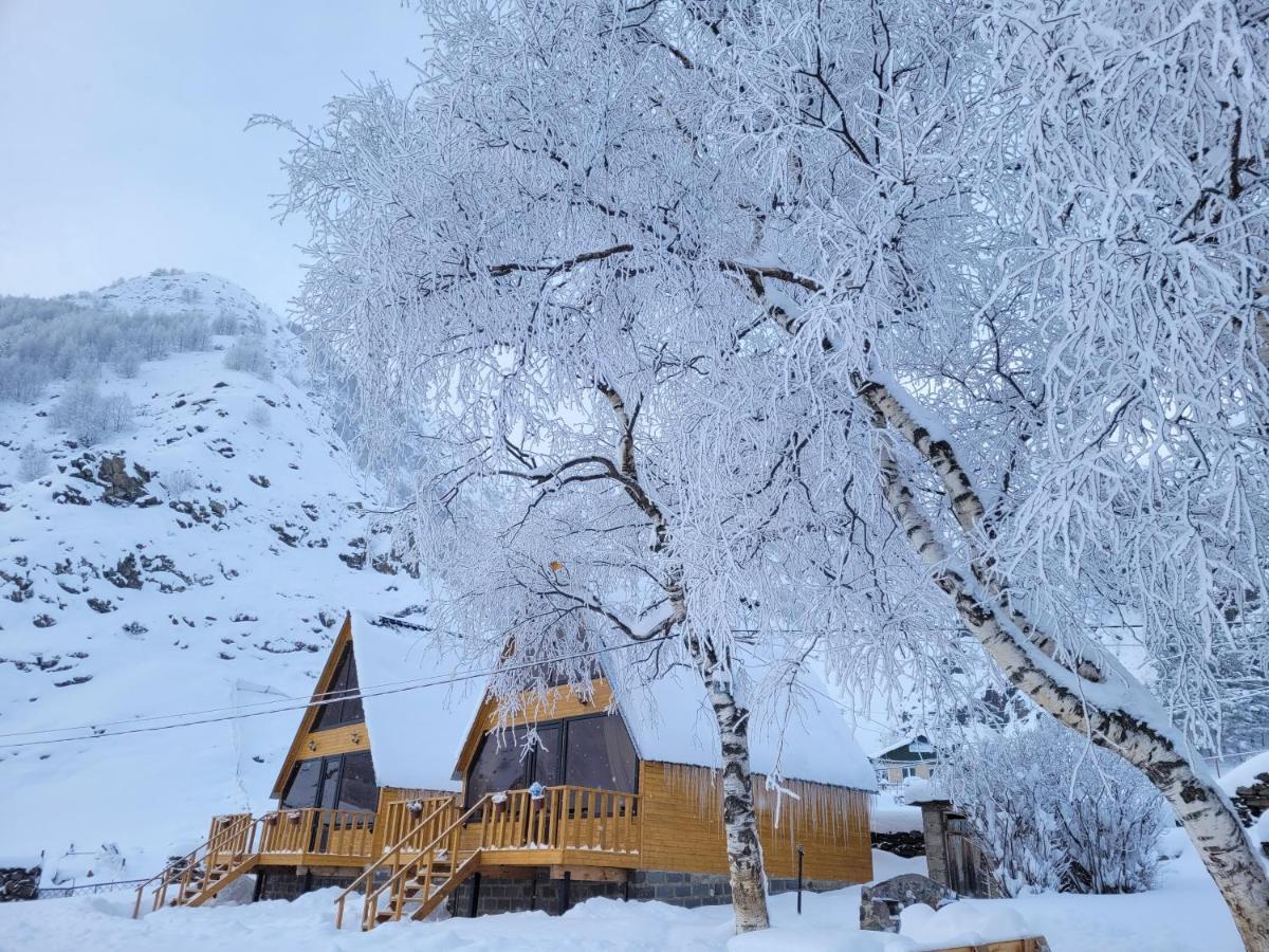 Pine Chalet Kazbegi Kültér fotó