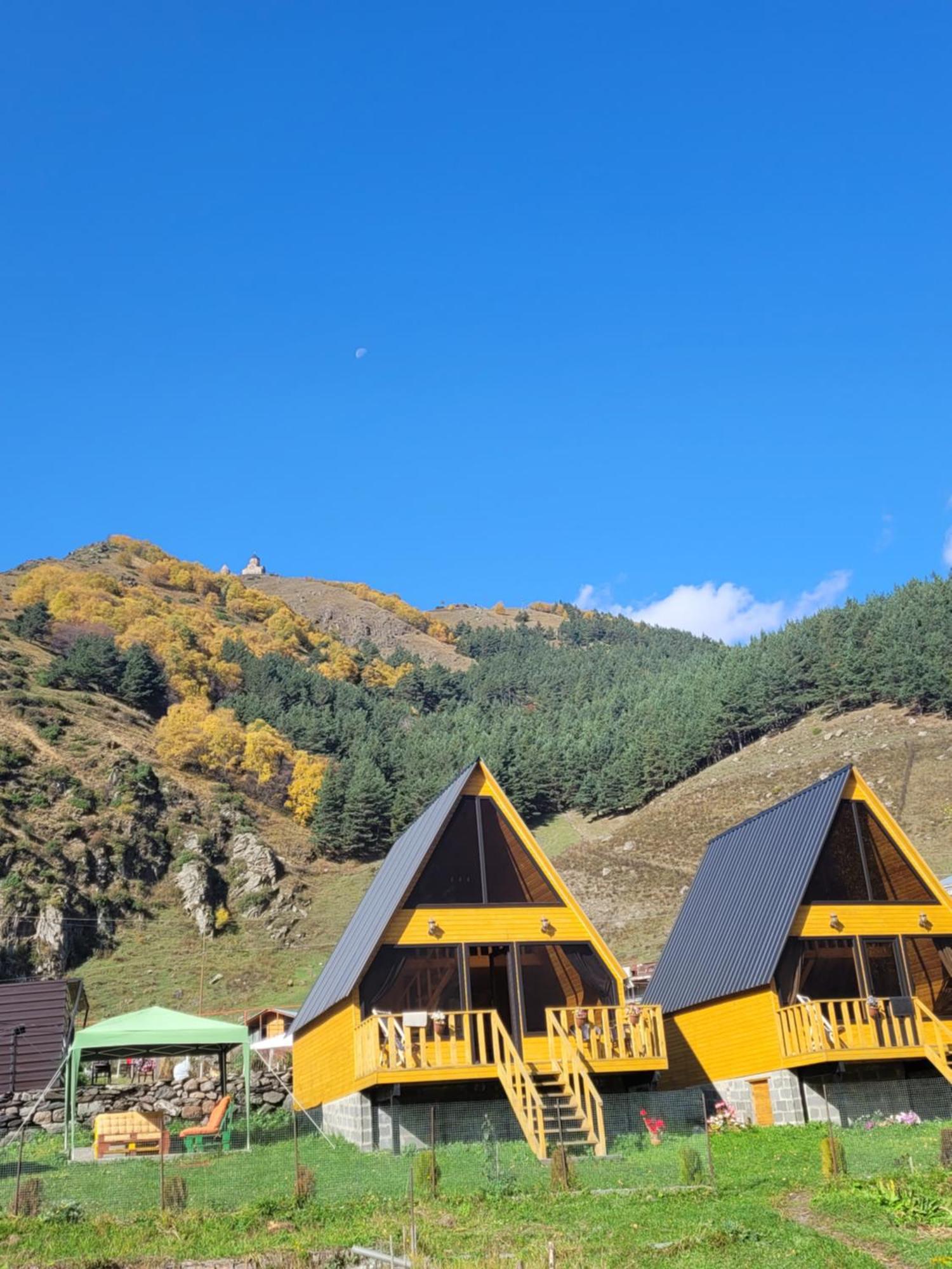 Pine Chalet Kazbegi Kültér fotó