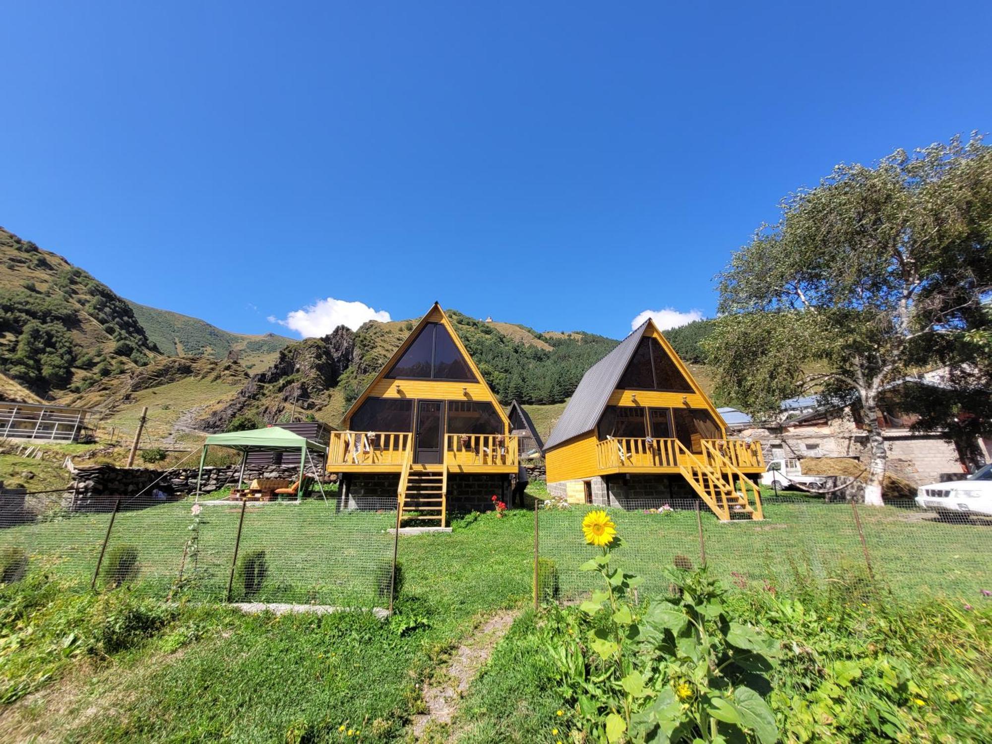 Pine Chalet Kazbegi Kültér fotó